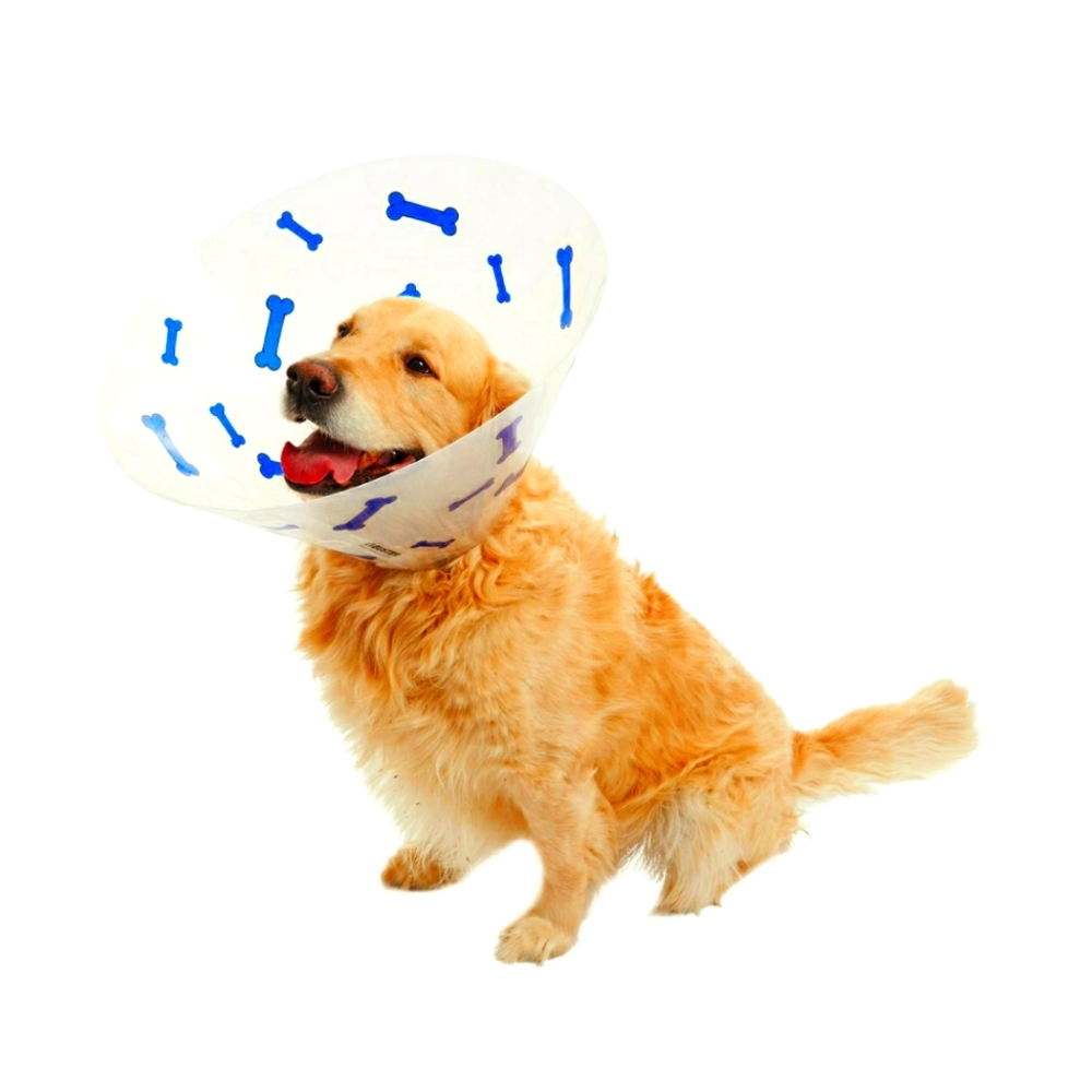 🐶🐕Buster Design Collar Bones Pets Collar Cone Funnel 30cm🐕🐶